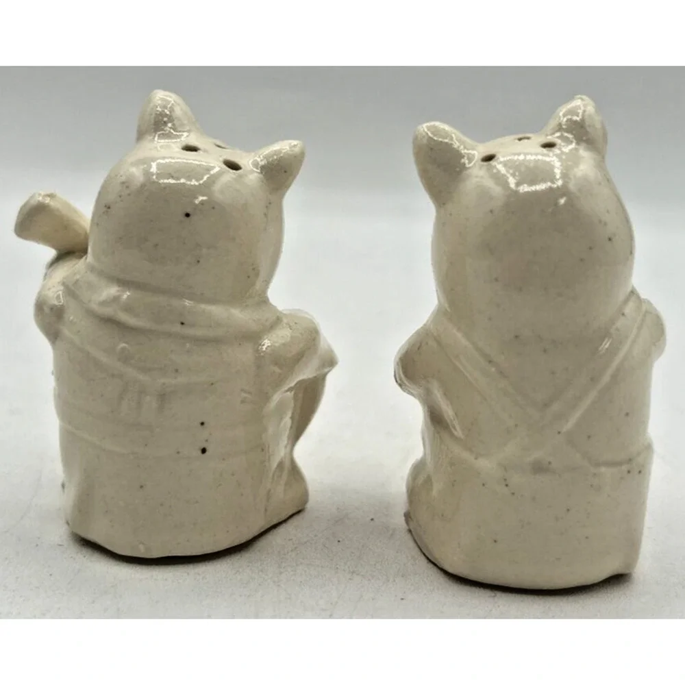 Vintage Retro Salt and‎ Pepper Shakers Porcelain Musical Pigs U260/11